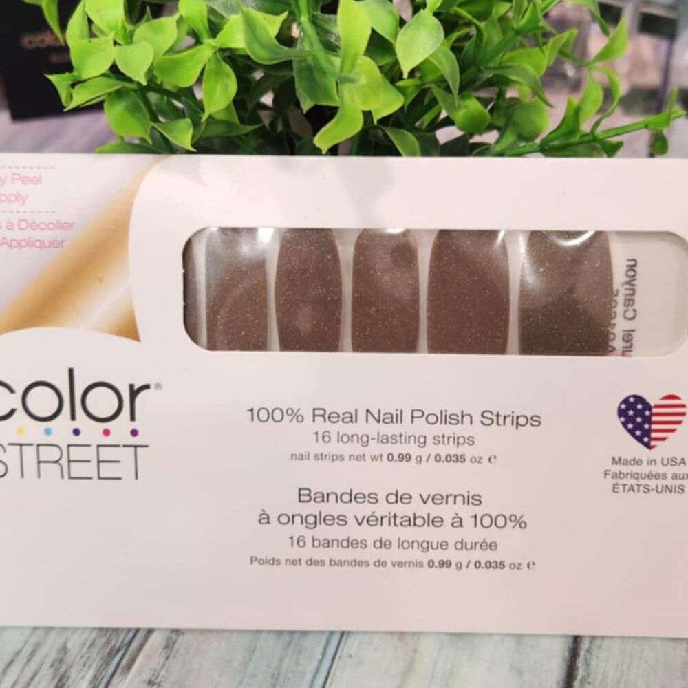 Color Street Nail Set- 2025 Fall